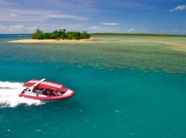 Low Isles speedboat reef trip