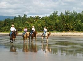 4 Mile Beach horse ride