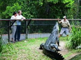 Hartleys Crocodile Adventures