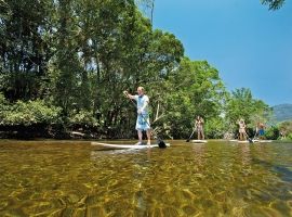 Mossman River paddleboard tour